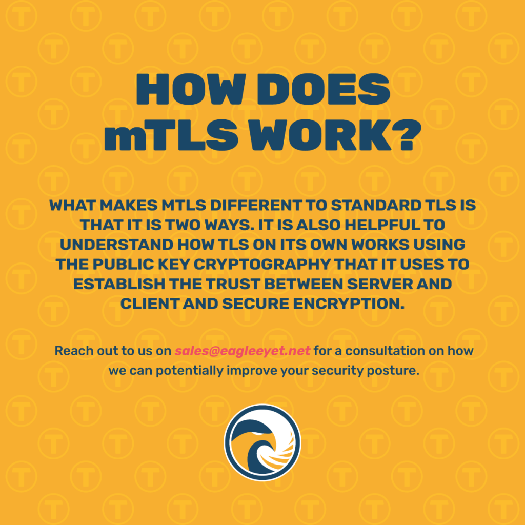 Eagle-Eye-T-Banner-How-Does-mTLS-Work
