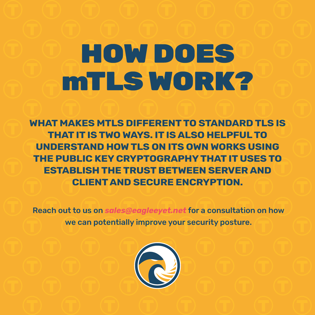 Eagle-Eye-T-Banner-How-Does-mTLS-Work