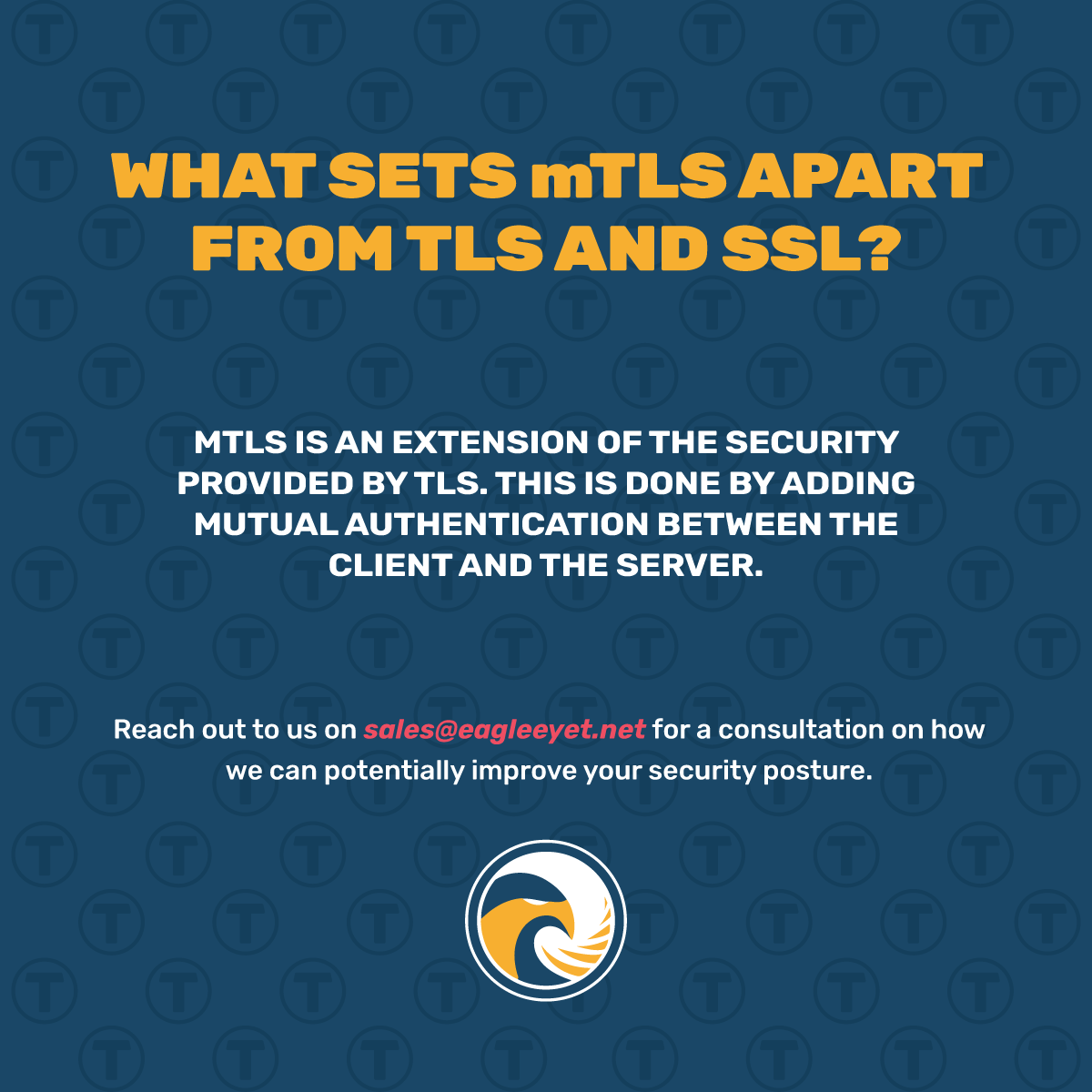 Eagle-Eye-T-Banner-What-Sets-mTLS-Apart-From-TLS-and-SSL