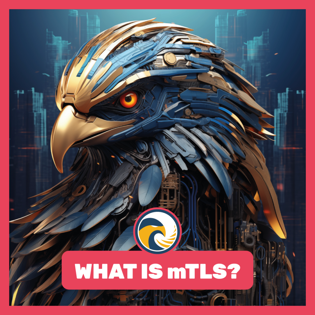 Eagle-Eye-T-Banner-What-is-mtls