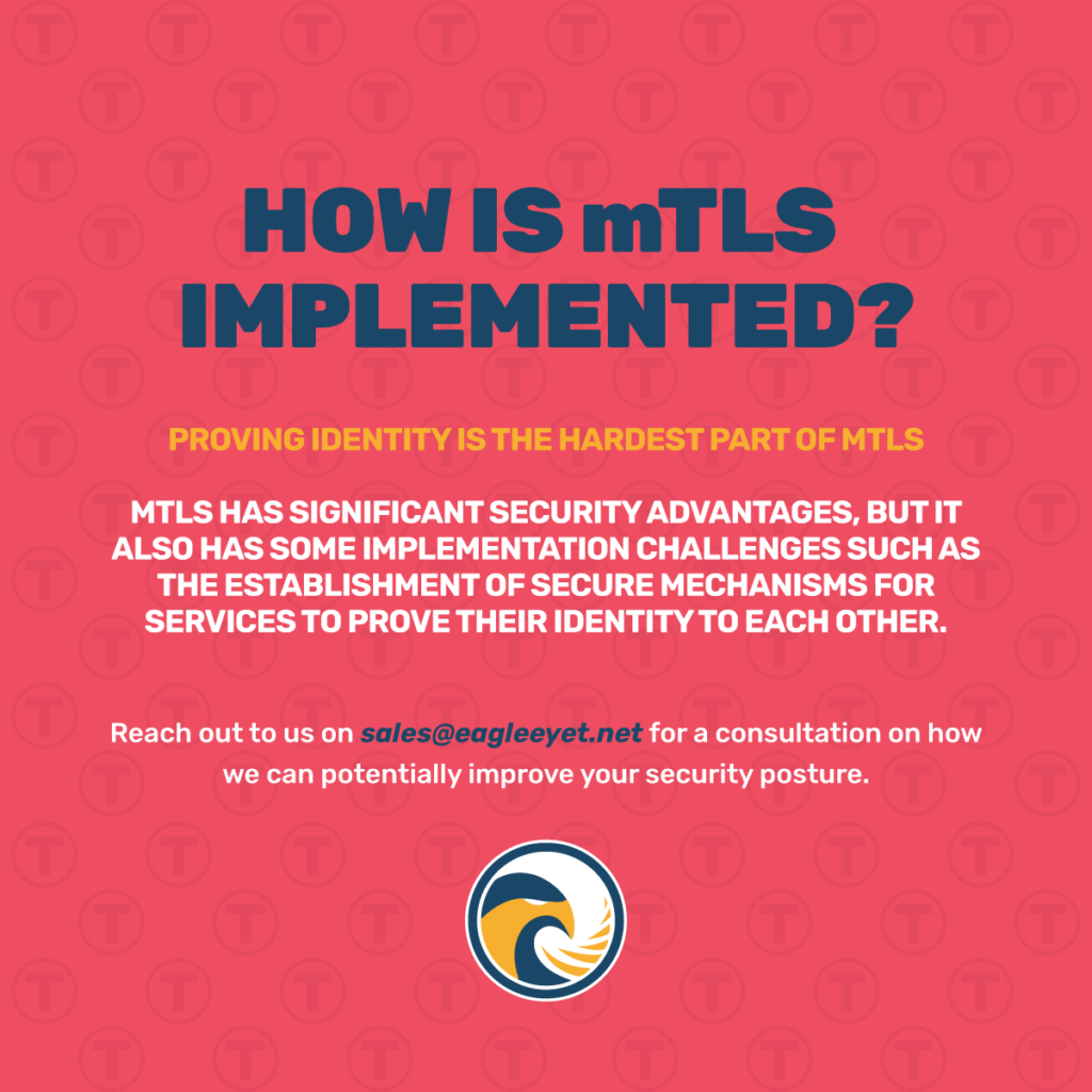 Eagle-Eye-T-Banner-How-Is-mTLS-Implemented